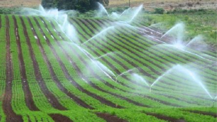 Estado Destina Mais de R$ 200 Milhões para Projetos de Irrigação