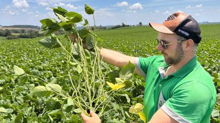 Incertezas climáticas e soluções: evento Semeando Colheitas do Futuro