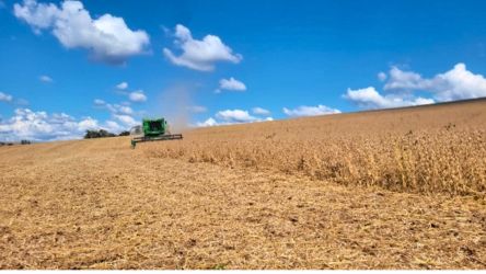 A colheita da soja chega a 49% no Rio Grande do Sul