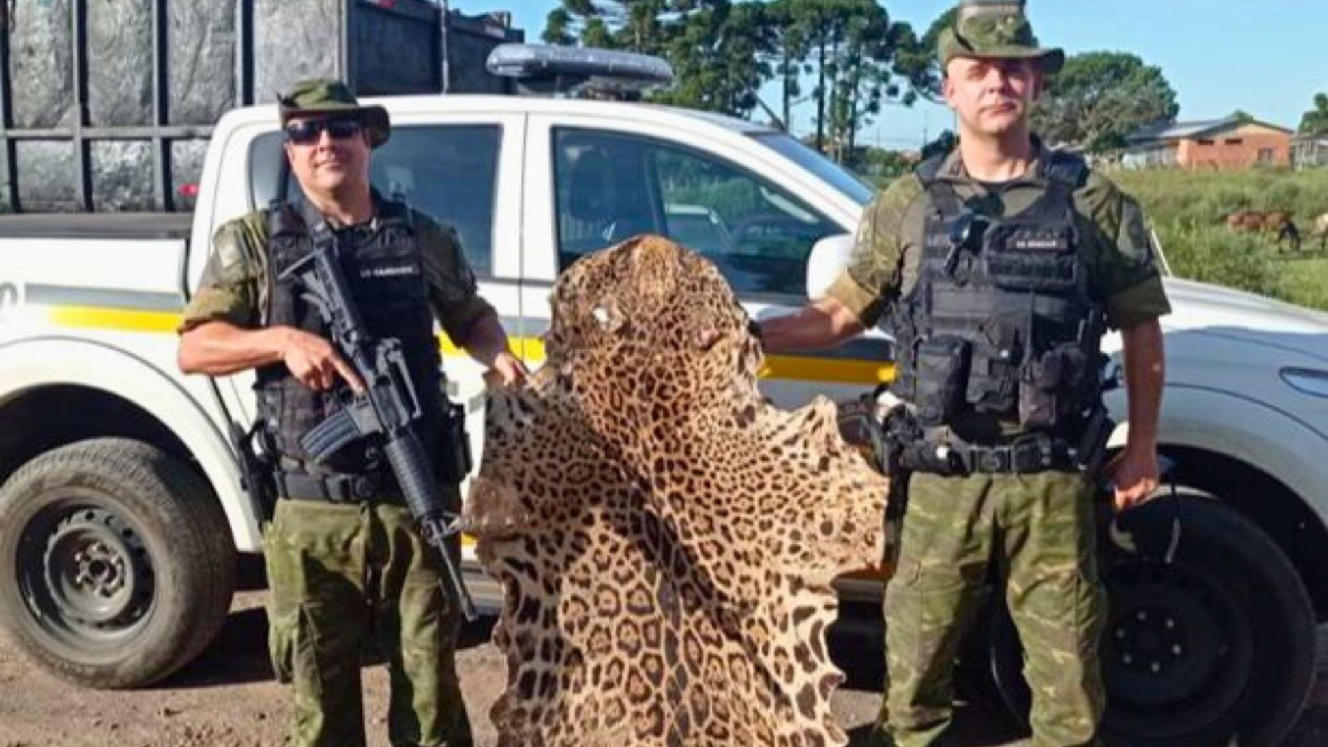 PATRAM Apreende Pele de Onça em Estabelecimento de Reciclagem sem Licença