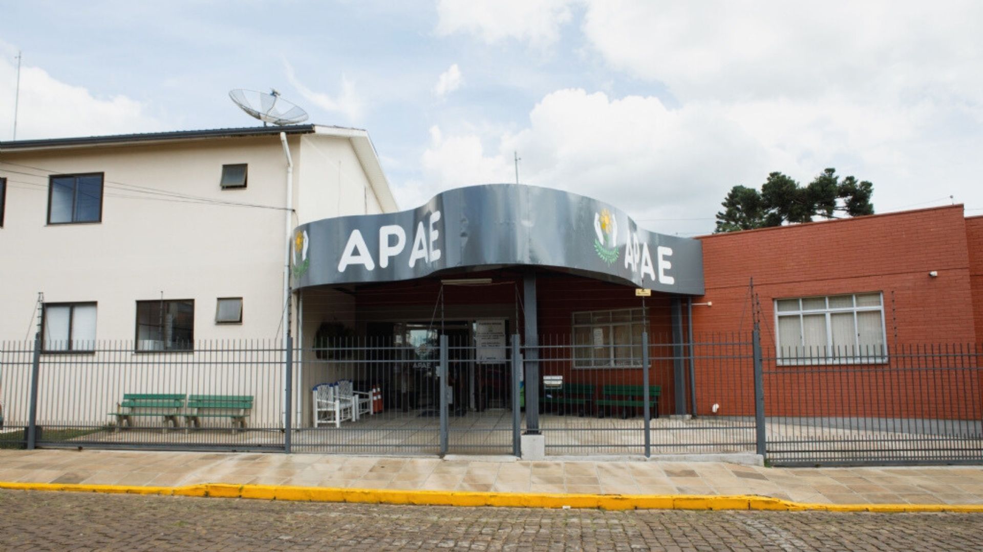 Começa a Semana Nacional da Pessoa com Deficiência Intelectual e Múltipla