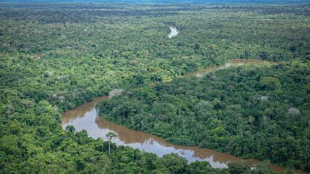Governo Federal lança programa de combate ao desmatamento na Amazônia