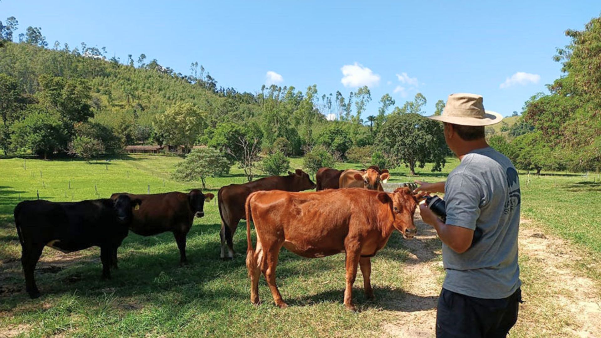 Observat&oacute;rio do Leite Org&acirc;nico disponibiliza dados sobre essa cadeia a usu&aacute;rios e consumidores