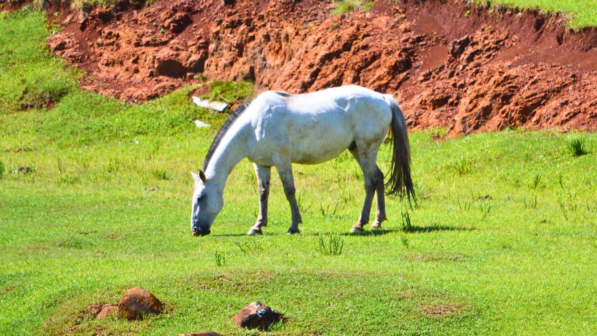 Di&aacute;rio de Vacaria - O aplicativo Galope ser&aacute; desativado e n&atilde;o estar&aacute; mais dispon&iacute;vel para download.