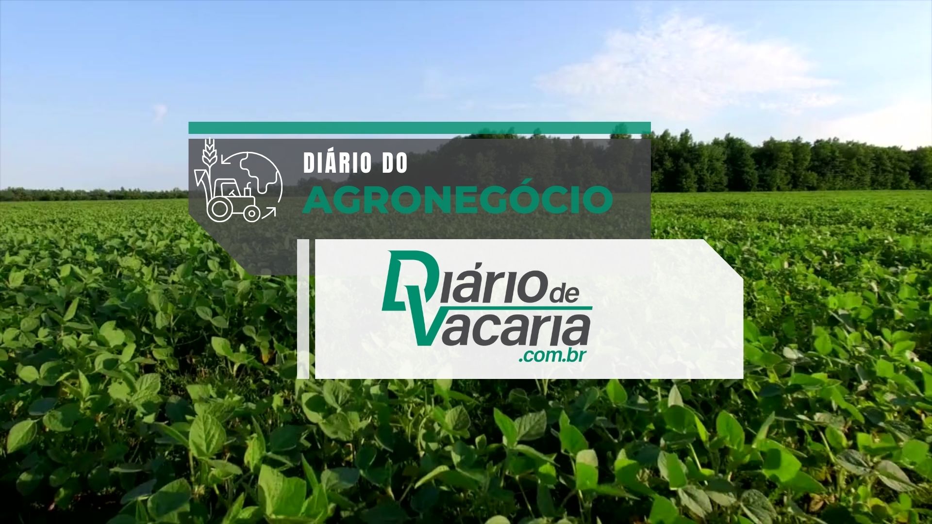 Di&aacute;rio de Vacaria - Di&aacute;rio do Agroneg&oacute;cio