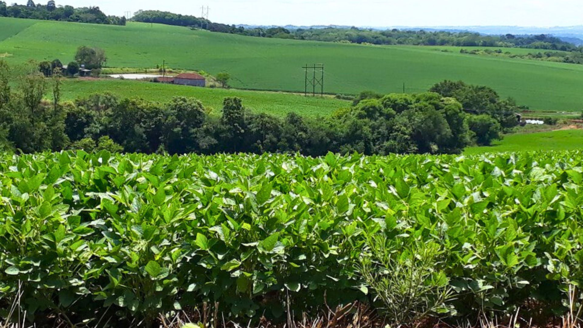 Exporta&ccedil;&otilde;es Alcan&ccedil;am US$16,2 Bilh&otilde;es no Rio Grande do Sul em 2023