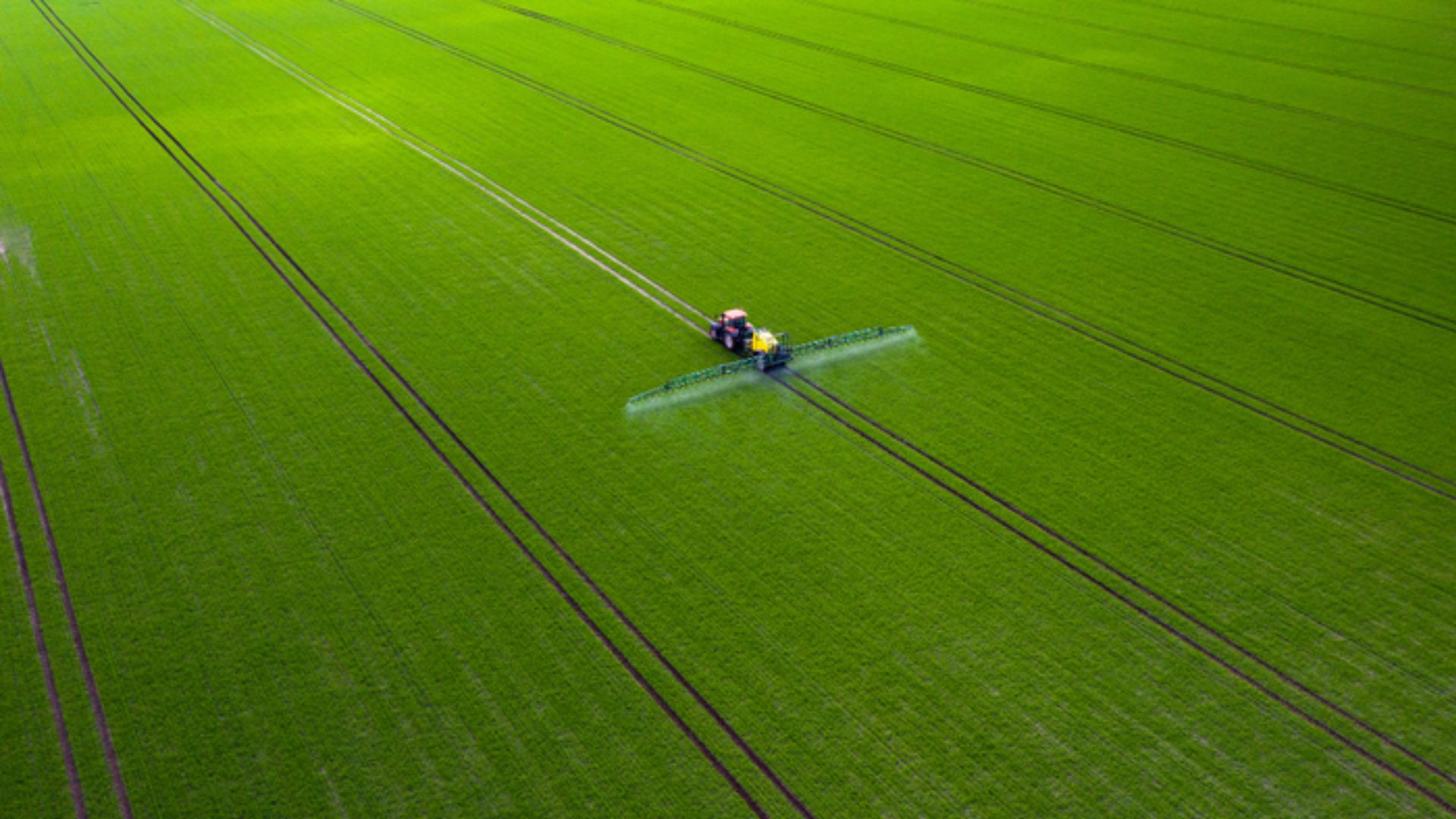 Plano Safra 2023/24: Cr&eacute;dito Rural Alcan&ccedil;a R$ 293,1 Bilh&otilde;es