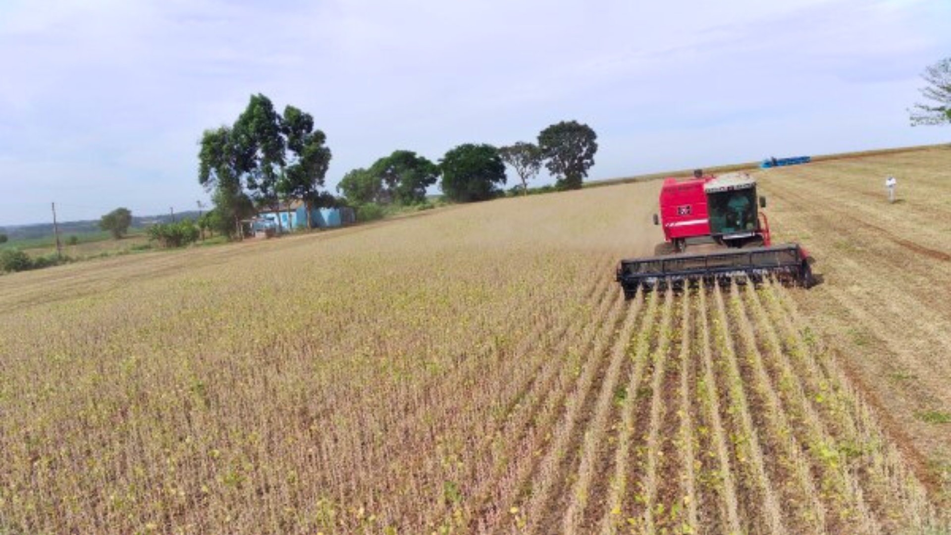 Colheita da soja evolui no RS: avan&ccedil;os e desafios