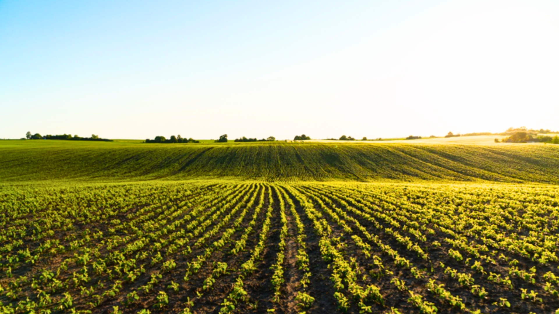 Governo Federal antecipa medidas de aux&iacute;lio a produtores rurais
