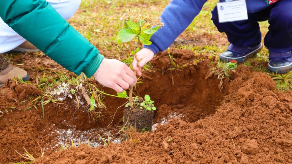 Semana do meio ambiente: estudantes participam de plantio no CAT