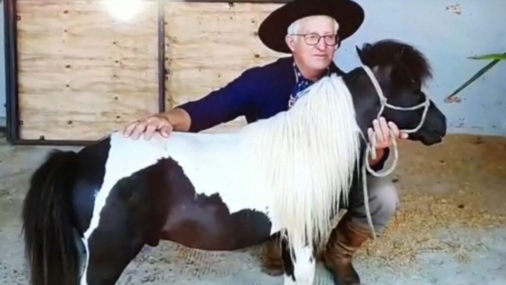 Oscar Collares, criador de pônei de Bagé - Foto: arquivo pessoal