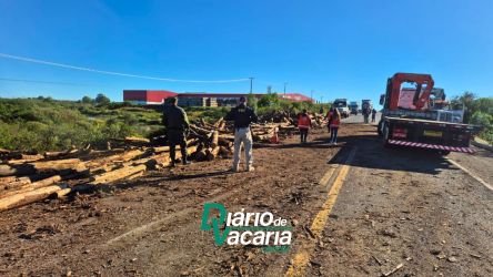 Caminhão de toras tomba na BR116 interditando a rodovia