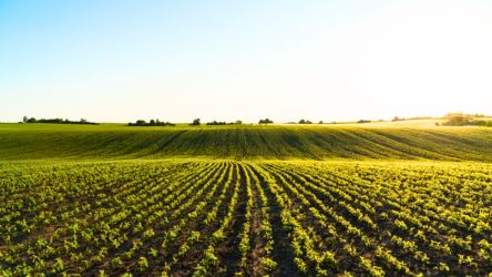 Governo Federal antecipa medidas de aux&iacute;lio a produtores rurais