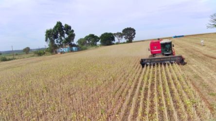 Colheita da soja evolui no RS: avan&ccedil;os e desafios