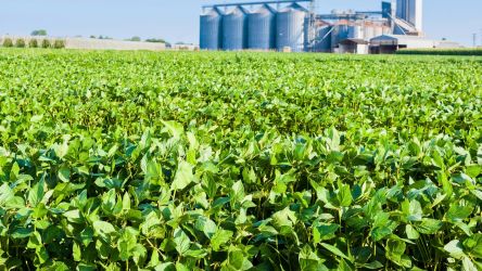 O período para os produtores rurais realizarem a apresentação do talão de produtor, referente ao ano de 2023, já está em andamento e se estende até o dia 31 de março.