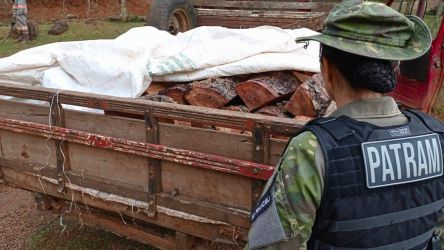 PATRAM fiscaliza crimes ambientais em Vacaria e S&atilde;o Jos&eacute; dos Ausentes