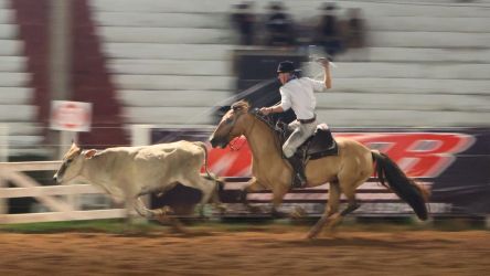 Conheça os campeões do Laço Dupla Oficial do Rodeio
