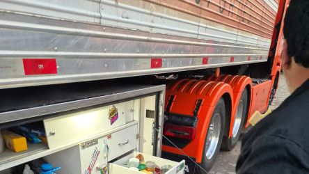 De cada cinco profissionais entrevistados, um afirmou que nunca realiza check-up de sa&uacute;de.